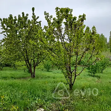 Satılır 3 otaqlı həyət evi 125 m²