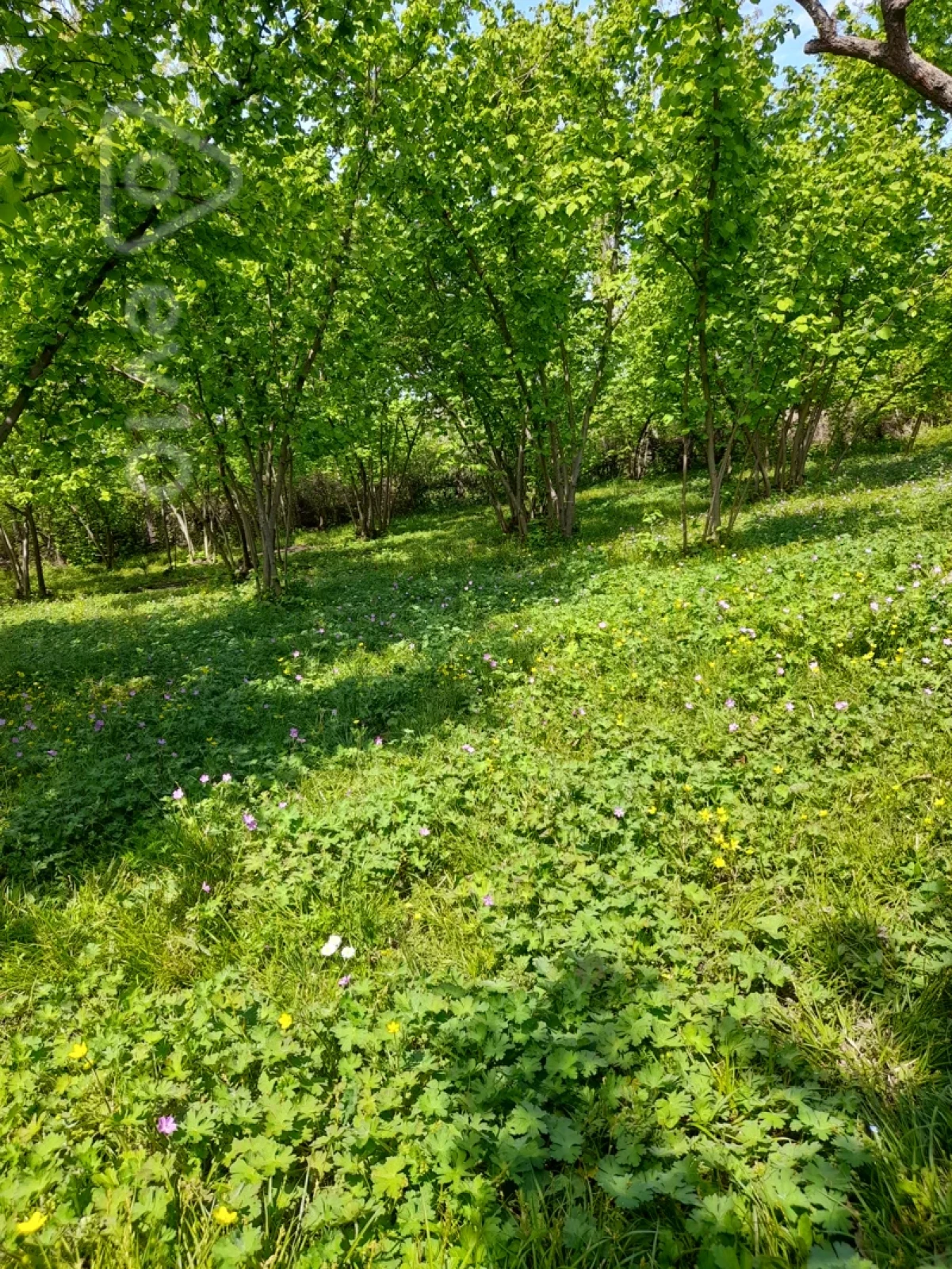 Satılır 3 otaqlı həyət evi 125 m²