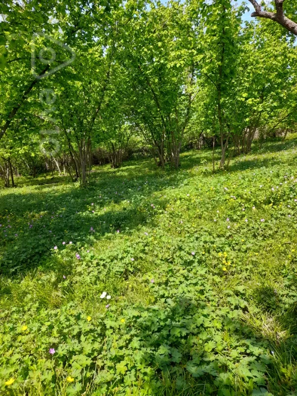 Satılır 3 otaqlı həyət evi 125 m²