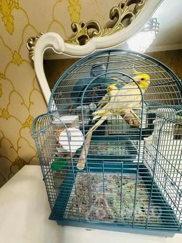 Satılır 3 otaqlı köhnə tikili 70 m²