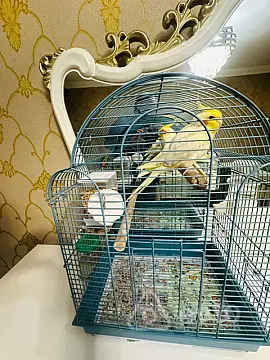 Satılır 3 otaqlı köhnə tikili 70 m²