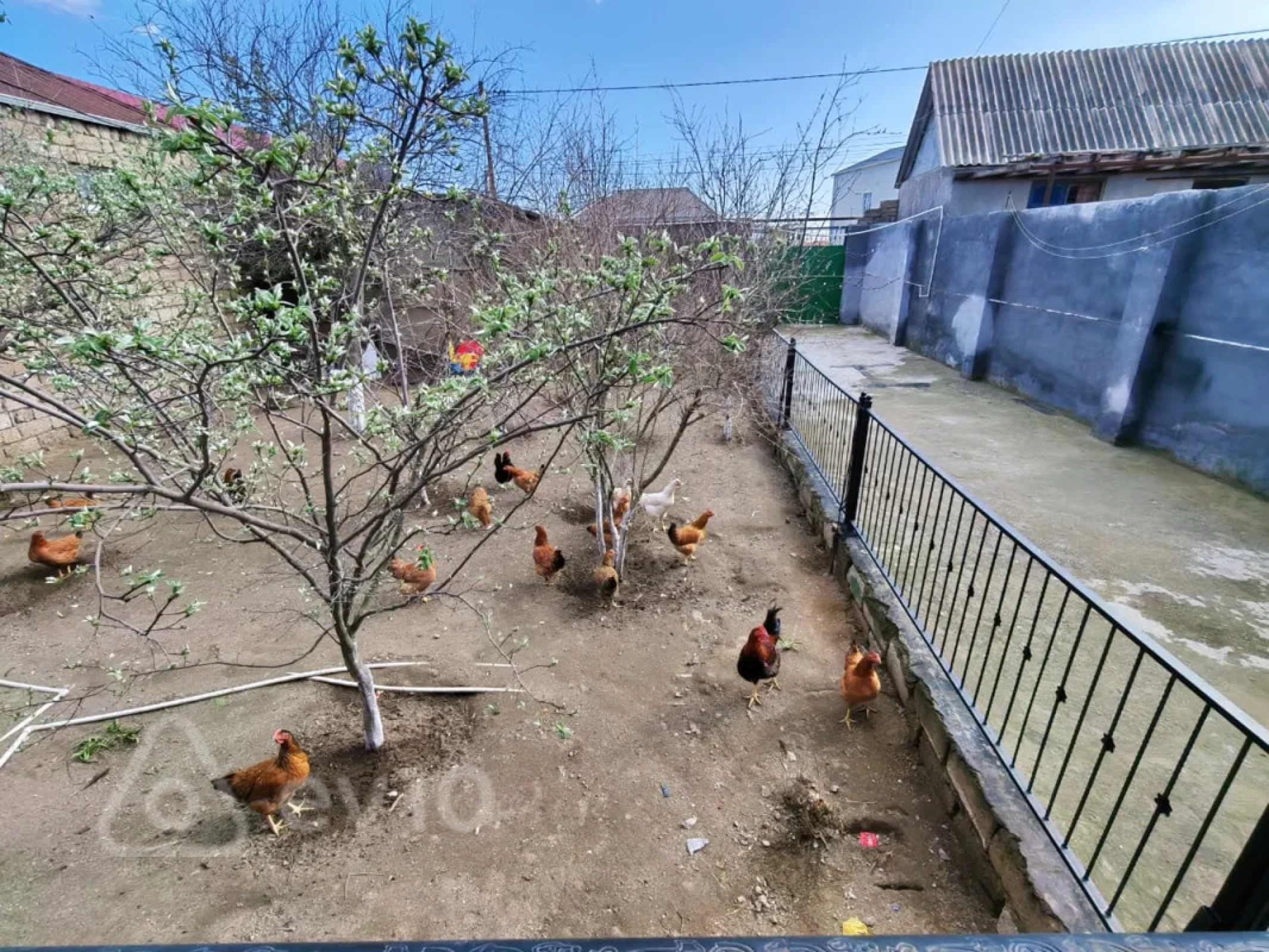 Satılır 3 otaqlı həyət evi 90 m²