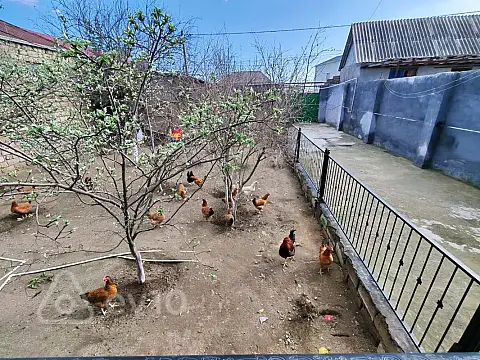 Satılır 3 otaqlı həyət evi 90 m²