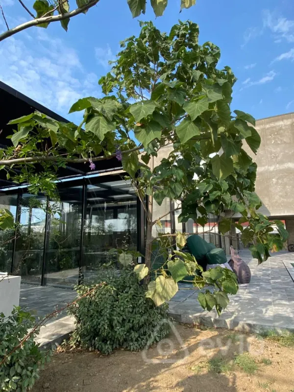 Satılır 7 otaqlı həyət evi 350 m²