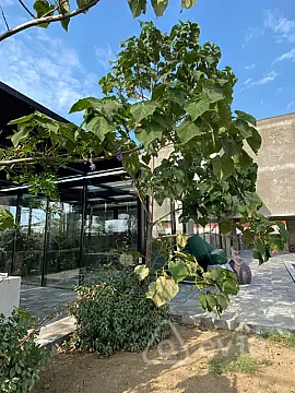 Satılır 7 otaqlı həyət evi 350 m²