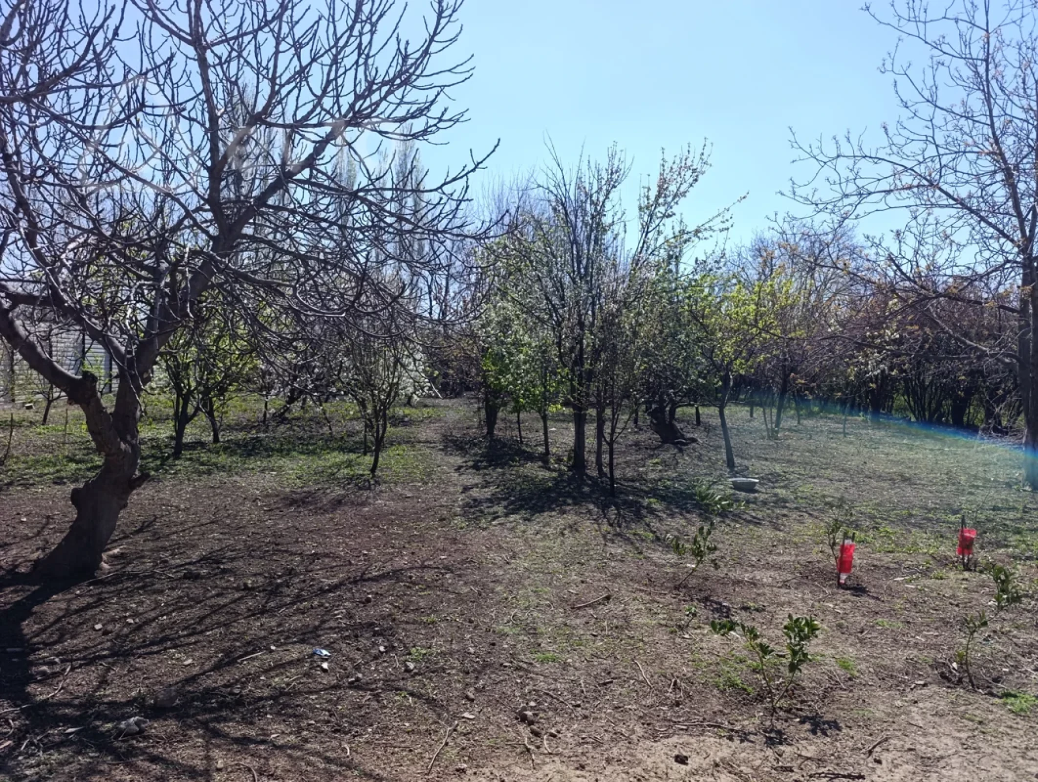 Satılır 6 otaqlı həyət evi 1800 m²