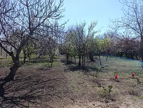 Satılır 6 otaqlı həyət evi 1800 m²