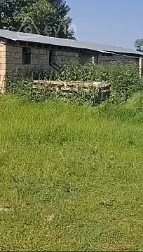 Satılır mənzil 600 m²