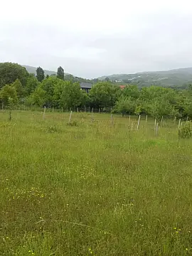 Satılır torpaq sahəsi — İsmayıllı