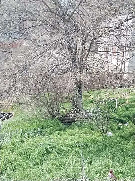 Satılır 7 otaqlı həyət evi 260 m²