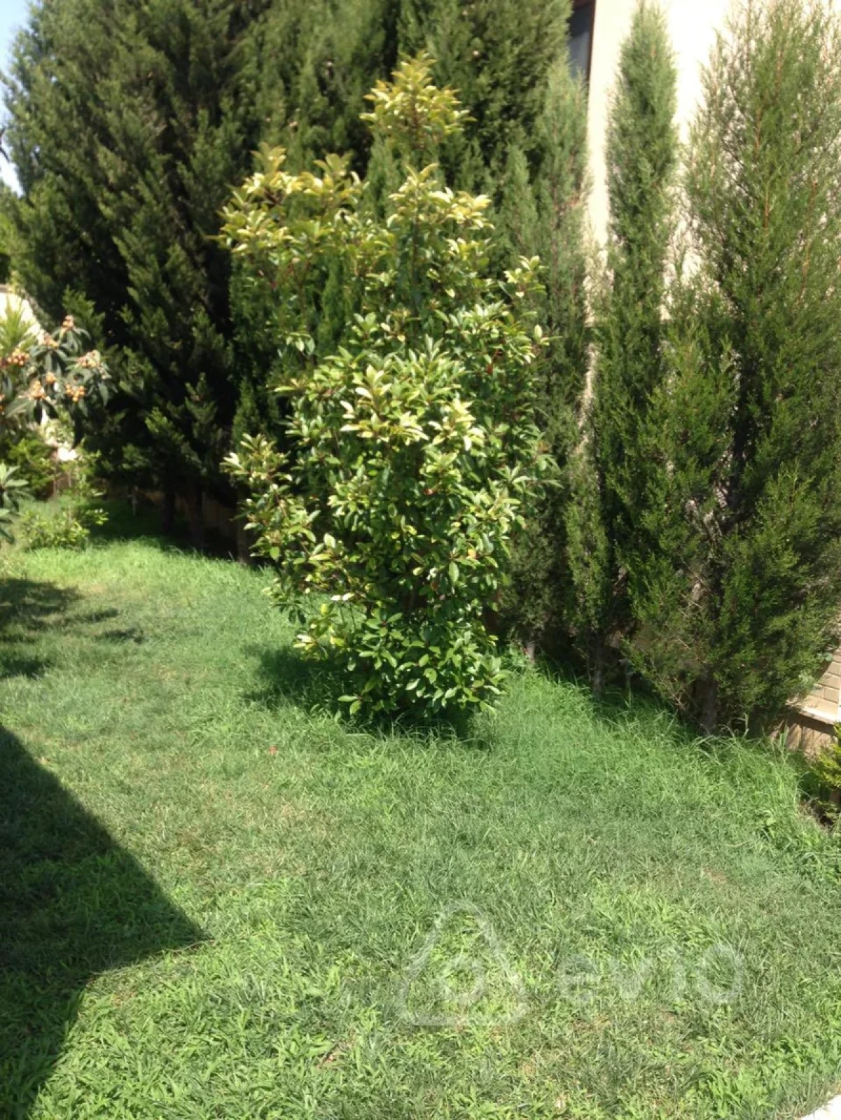 Kirayə verilir 7 otaqlı həyət evi 450 m²