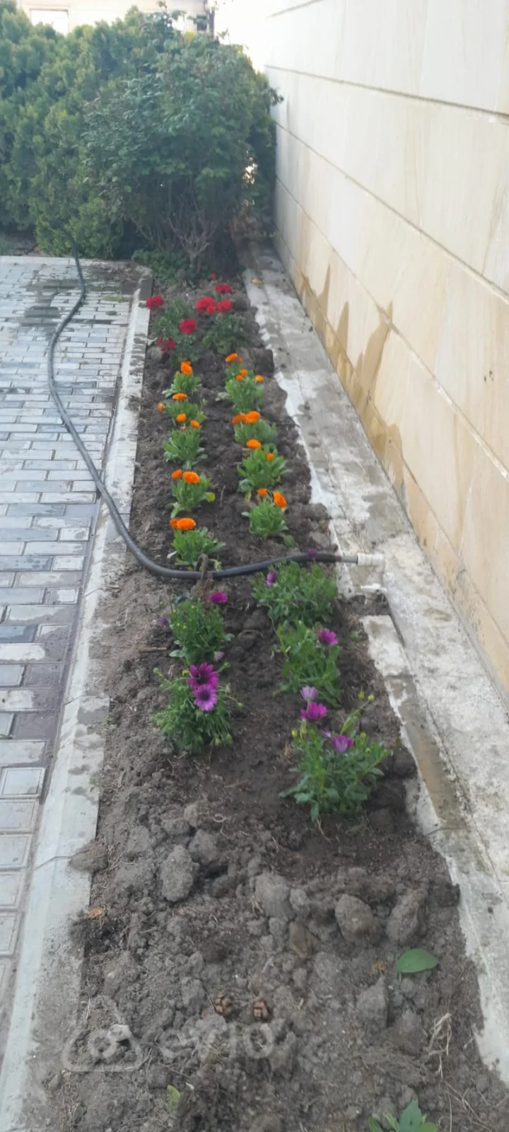 Kirayə verilir 7 otaqlı həyət evi 450 m²