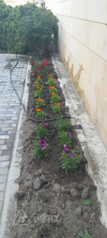 Kirayə verilir 7 otaqlı həyət evi 450 m²