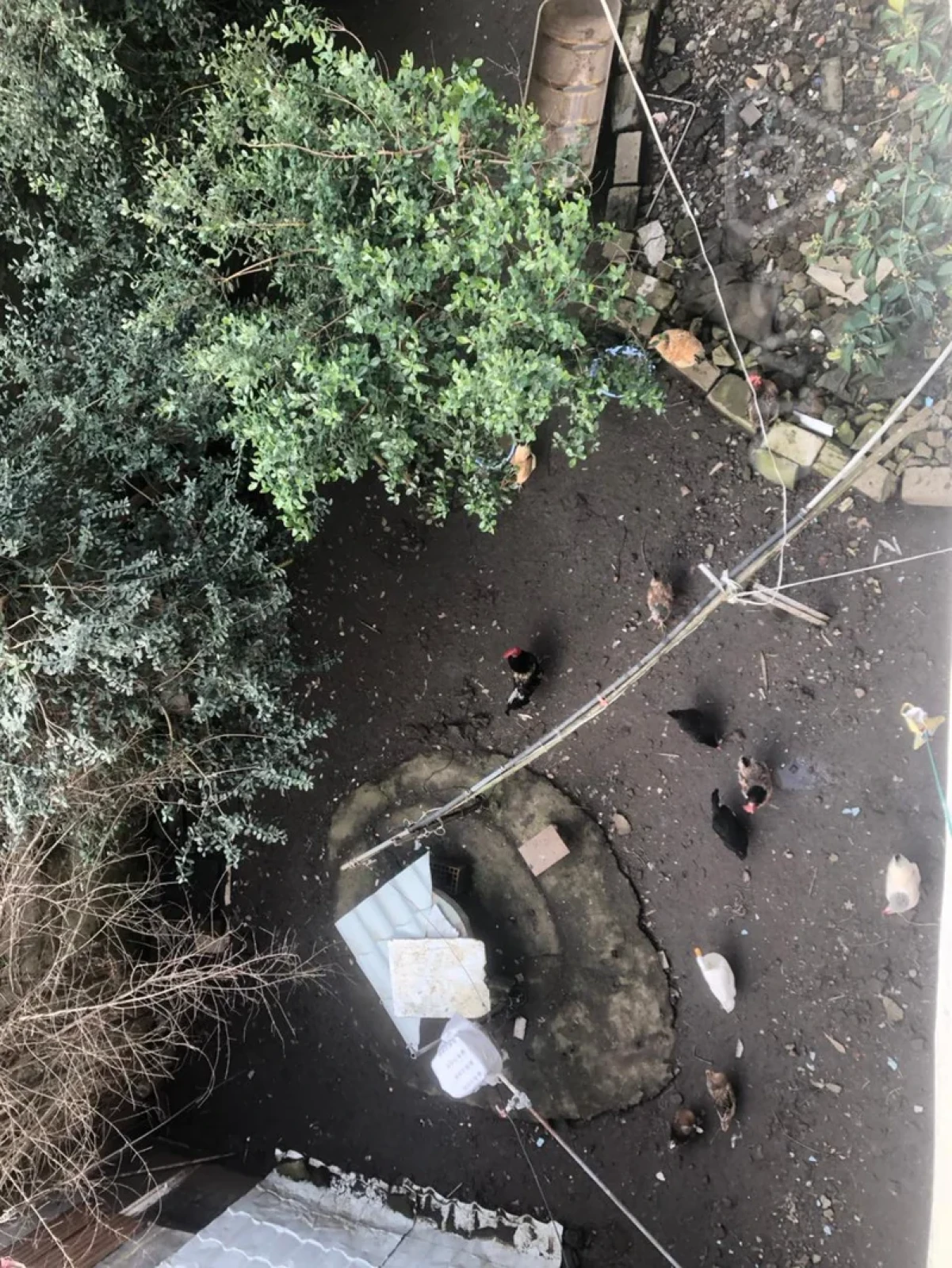 Satılır 3 otaqlı köhnə tikili 78.3 m²