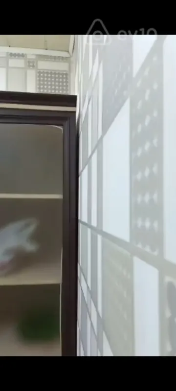 Kirayə verilir 2 otaqlı həyət evi 55 m²