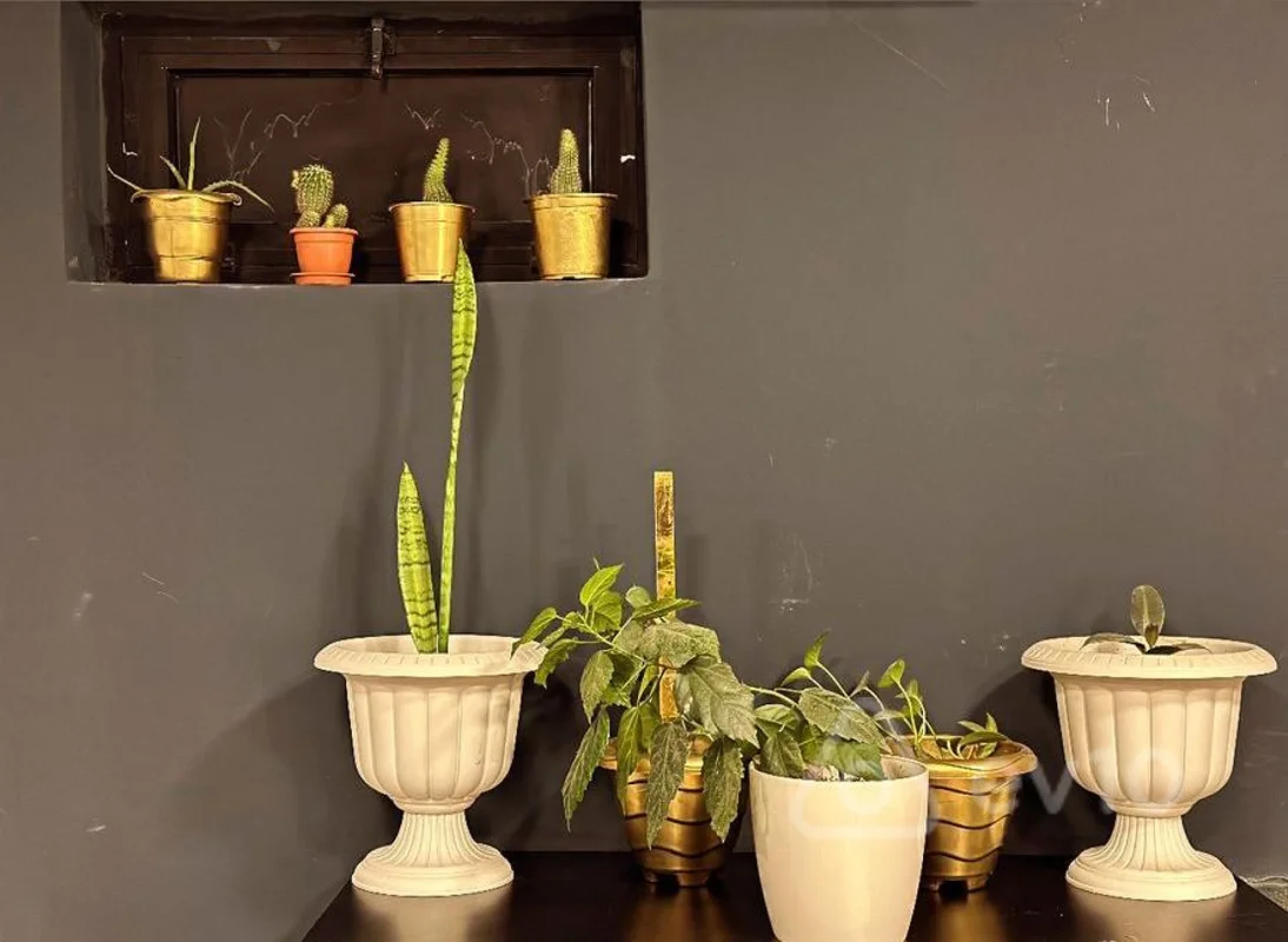 Kirayə verilir mənzil 24 m²