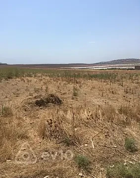 Satılır torpaq sahəsi — Bakı, Abşeron