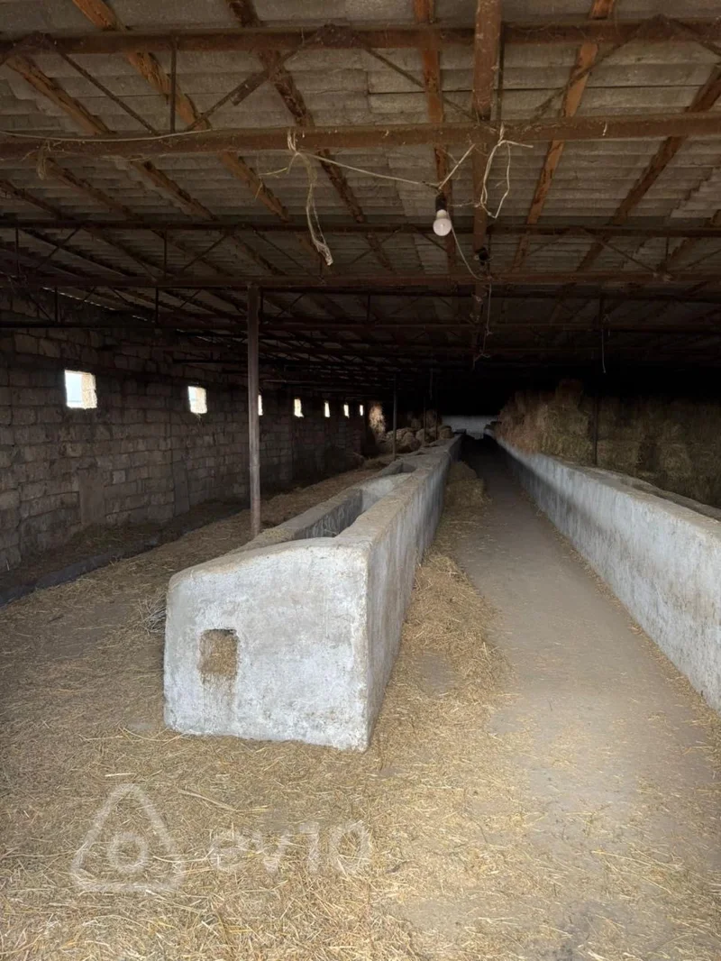 Kirayə verilir torpaq sahəsi — Bakı, Suraxanı