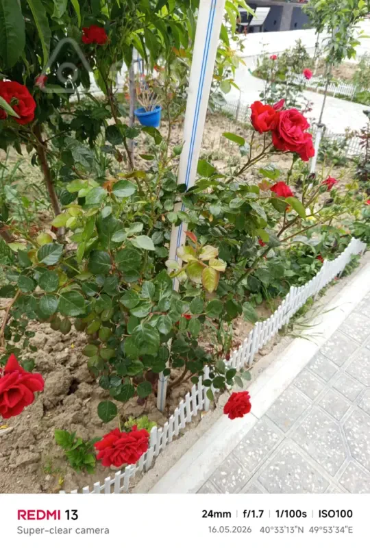 Kirayə verilir 4 otaqlı həyət evi 140 m²