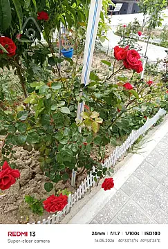 Kirayə verilir 4 otaqlı həyət evi 140 m² — Bakı, Sabunçu 4 otaq 140.00 m²