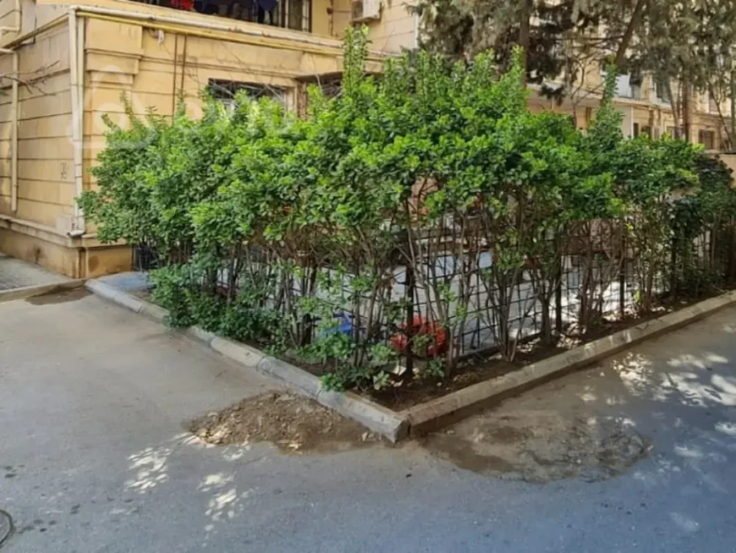 Kirayə verilir 3 otaqlı köhnə tikili 95 m²
