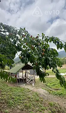 Satılır torpaq sahəsi — Lerik