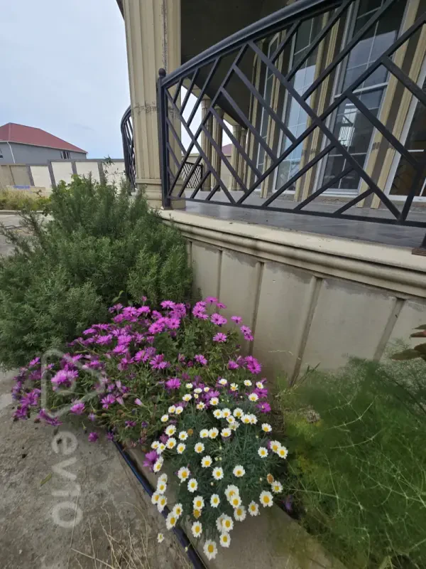 Kirayə verilir 7 otaqlı həyət evi 240 m²
