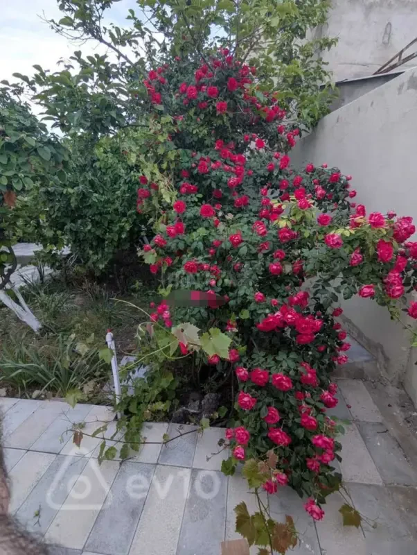 Kirayə verilir 2 otaqlı həyət evi 30 m²