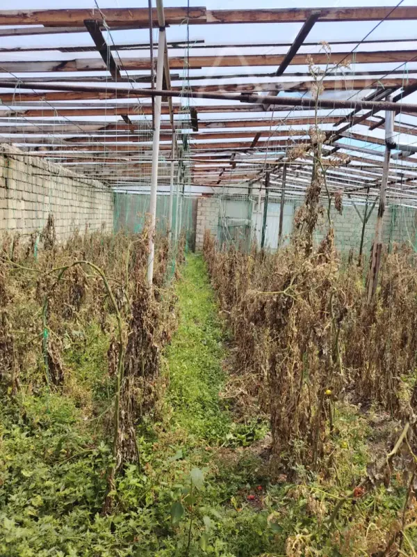 Satılır 3 otaqlı həyət evi 140 m²
