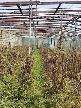 Satılır 3 otaqlı həyət evi 140 m² — Bakı, Xəzər 3 otaq 140.00 m²