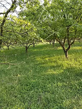 Satılır torpaq sahəsi — Quba