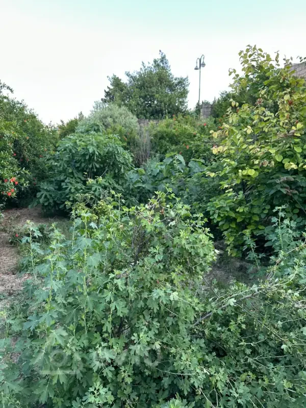 Kirayə verilir 5 otaqlı həyət evi 300 m²