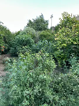 Kirayə verilir 5 otaqlı həyət evi 300 m² — Bakı, Suraxanı 5 otaq 300.00 m²