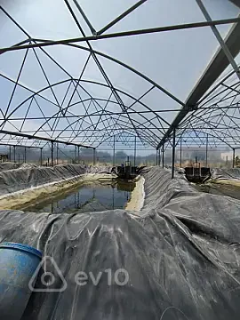 Kirayə verilir mənzil 100 m² — Bakı, Xəzər 100.00 m²