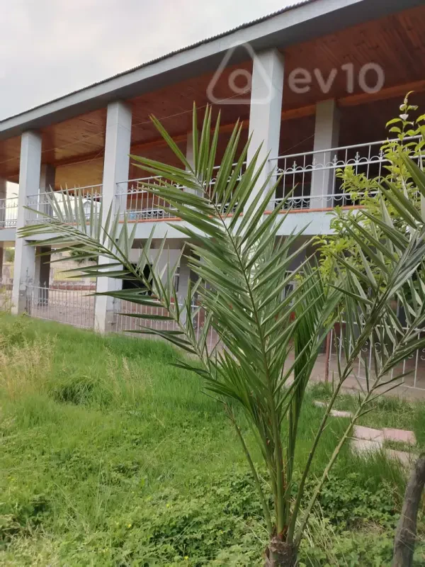 Kirayə verilir 5 otaqlı həyət evi 600 m²