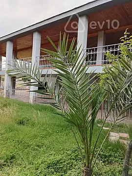Kirayə verilir 5 otaqlı həyət evi 600 m² — Masallı 5 otaq 600.00 m²