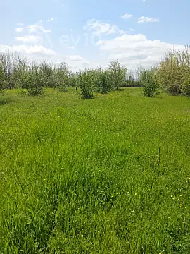 Satılır torpaq sahəsi — Qəbələ