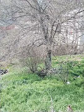 Satılır torpaq sahəsi — Bakı, Yasamal