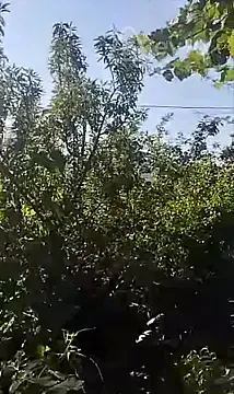 Satılır 4 otaqlı həyət evi 110 m² — Bakı, Sabunçu 4 otaq 110.00 m²
