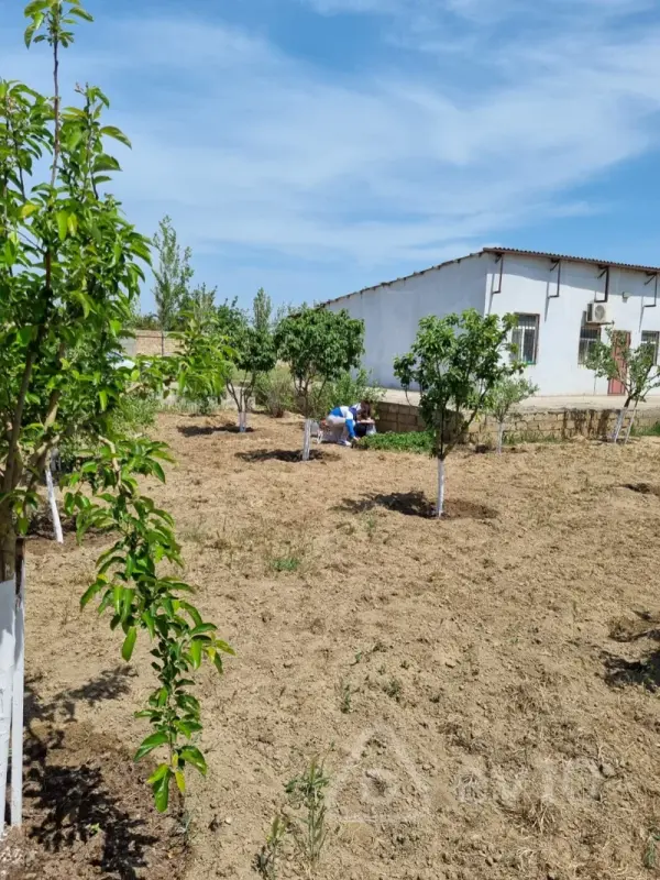 Satılır 3 otaqlı həyət evi 80 m²