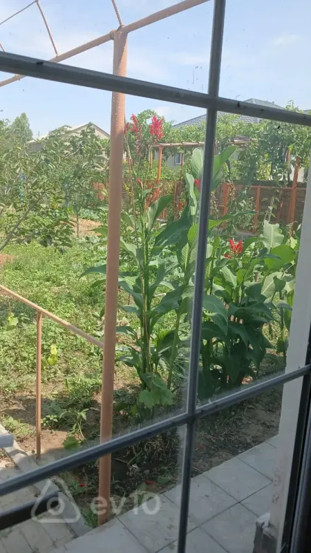 Kirayə verilir 4 otaqlı həyət evi 100 m²