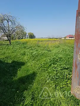 Satılır 5 otaqlı həyət evi 251 m² — Masallı 5 otaq 251.00 m²