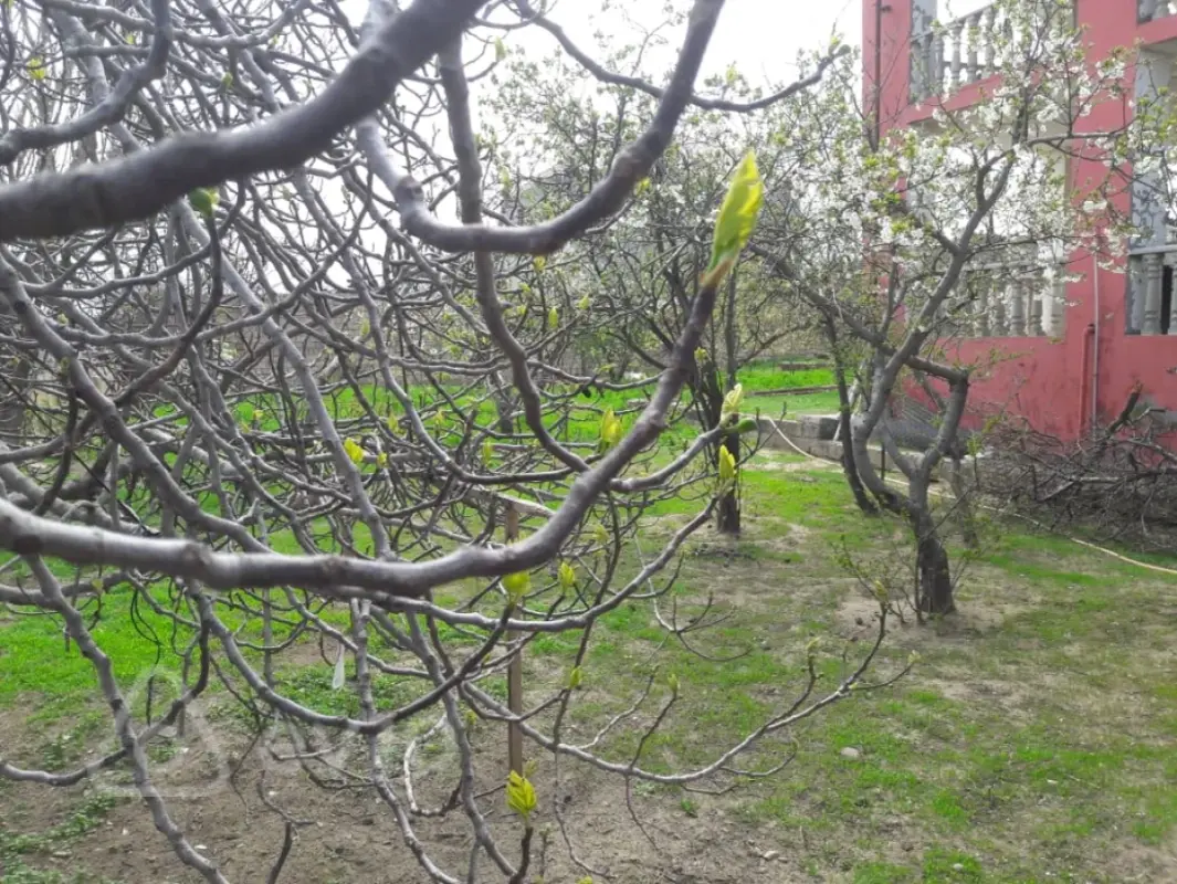 Satılır 5 otaqlı həyət evi 206 m²
