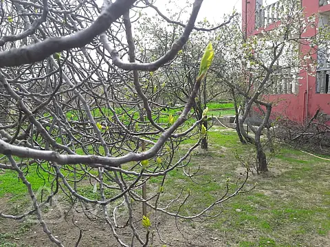 Satılır 5 otaqlı həyət evi 206 m² — Bakı, Abşeron 5 otaq 206.00 m²