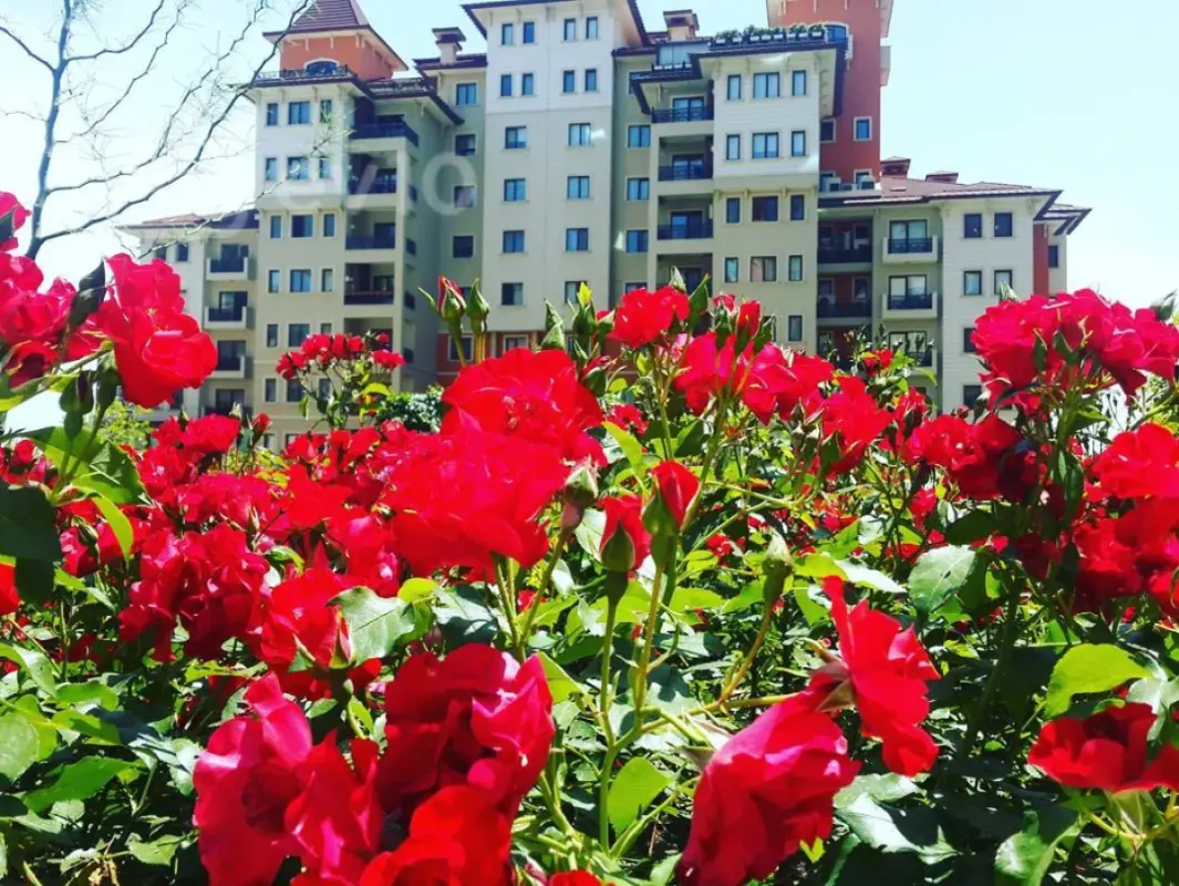 Satılır 5 otaqlı yeni tikili 303 m²