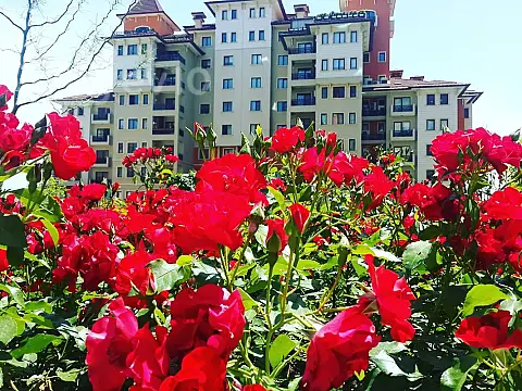 Satılır 5 otaqlı yeni tikili 303 m² — Bakı, Nərimanov 5 otaq 303.00 m²
