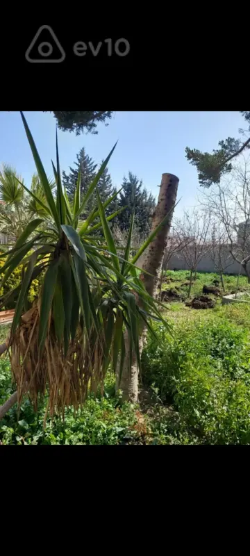 Kirayə verilir 5 otaqlı həyət evi 140 m²