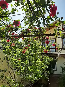 Kirayə verilir 3 otaqlı həyət evi 90 m² — Bakı, Xətai 3 otaq 90.00 m²