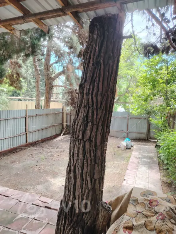 Kirayə verilir 2 otaqlı köhnə tikili 60 m²