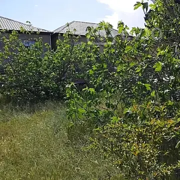 Satılır torpaq sahəsi — Bakı, Abşeron